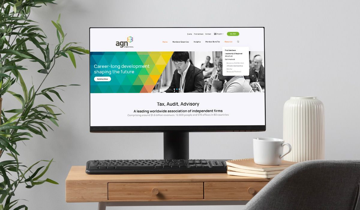 Agn.org dseño y alojamiento web