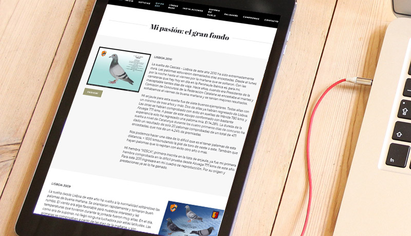 Rosellu00f3 Mallol marqueting digital campanyes online