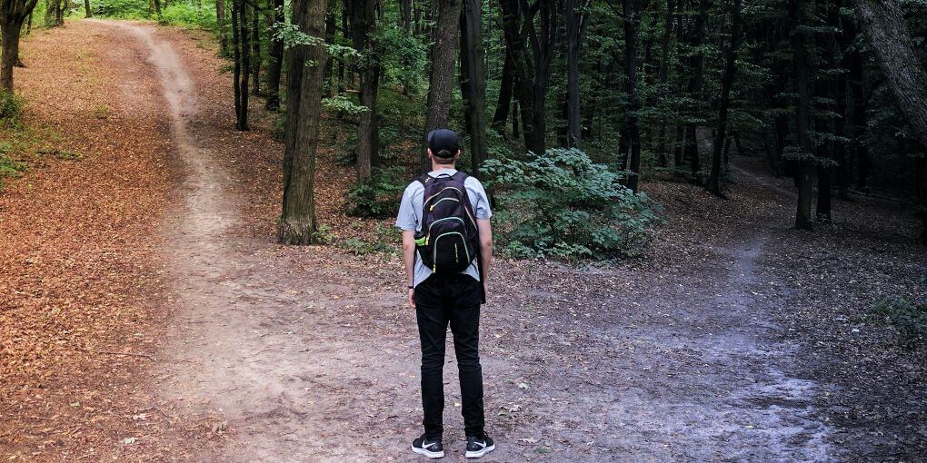 WordPress o Joomla? Opcions pel teu disseny web.