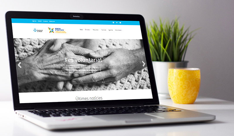 portal entitats mataro disseny web wordpress